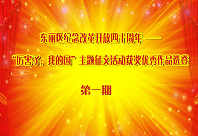 东丽区纪念改革开放四十周年