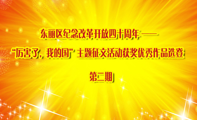 东丽区纪念改革开放四十周年