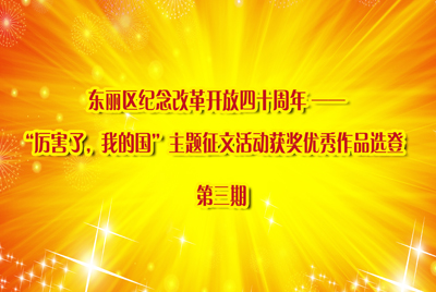 东丽区纪念改革开放四十周年