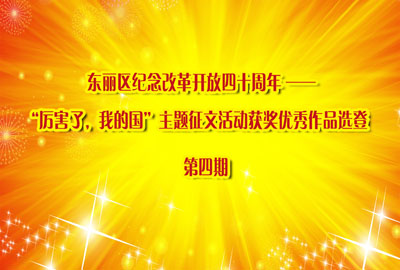 东丽区纪念改革开放四十周年