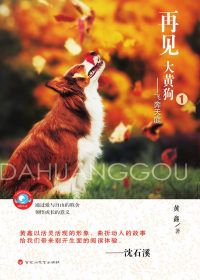 再见，大黄狗