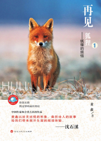 再见，狐狸
