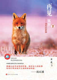 再见，狐狸