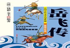 岳飞传　美绘少年版