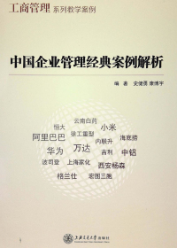 中国企业管理经典案例解析