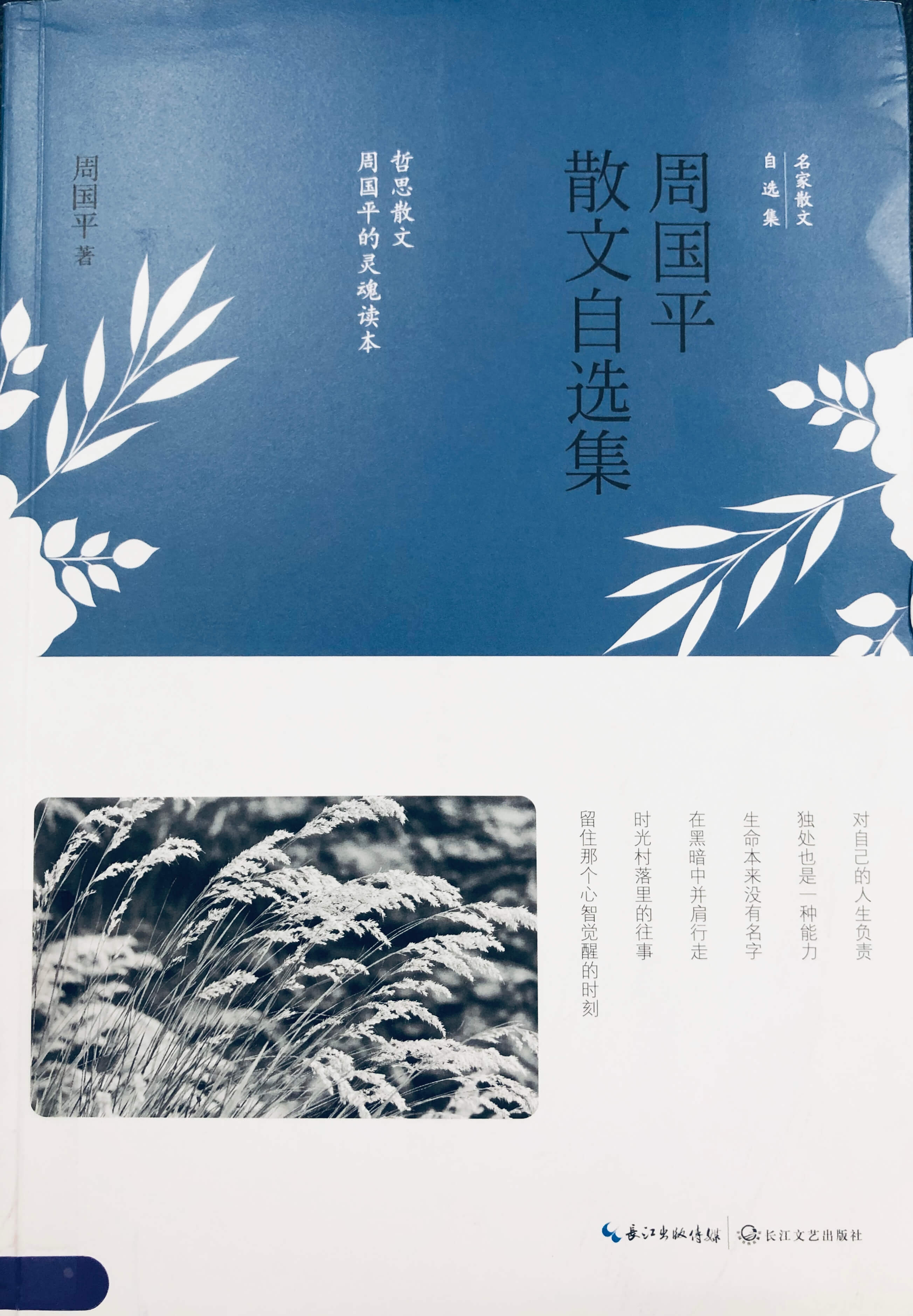 《周国平散文自选集》