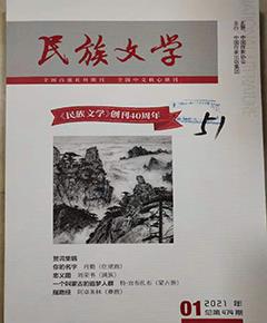 《民族文学》