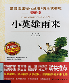 小英雄雨来