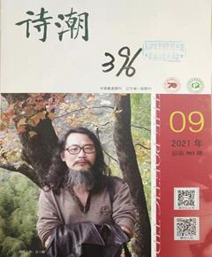《诗潮》