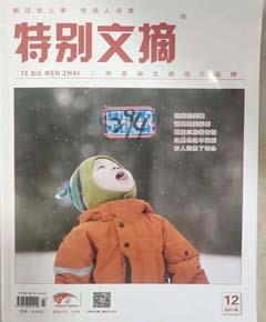 特别文摘