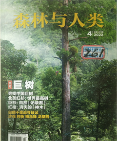 《森林与人类》