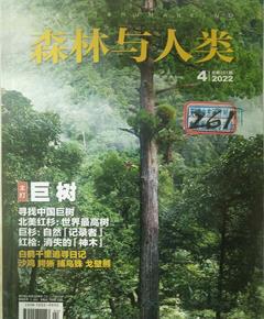 《森林与人类》