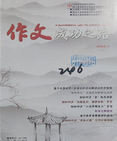 《作文成功之路》
