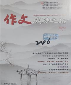 《作文成功之路》