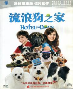 流浪狗之家
