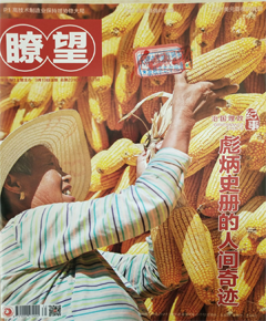 《瞭望》