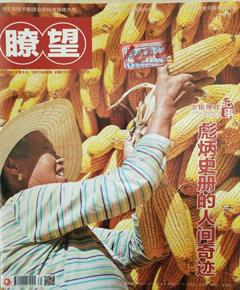 《瞭望》