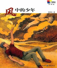 风中的少年（彩图版）