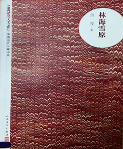 《林海雪原》