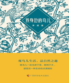 我身边的鸟儿