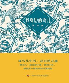 我身边的鸟儿