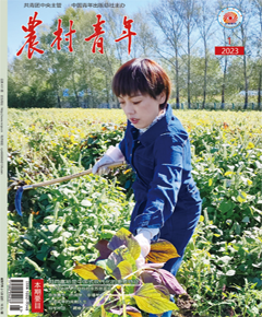 《农村青年》