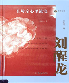 在母亲心里流浪