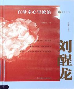 在母亲心里流浪