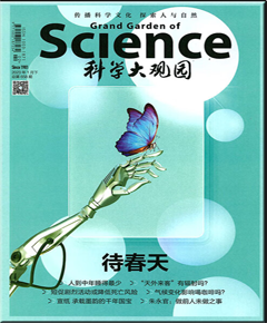 《科学大观园》