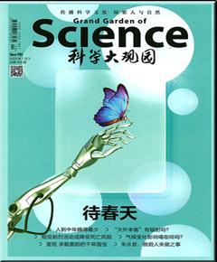 《科学大观园》