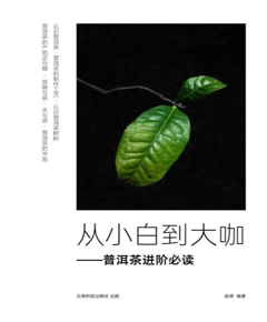 从小白到大咖，普洱茶进阶必读