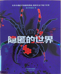 《隐匿的世界》