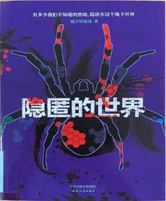 《隐匿的世界》