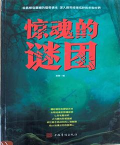 《惊魂的谜团》