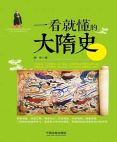 一看就懂的大隋史