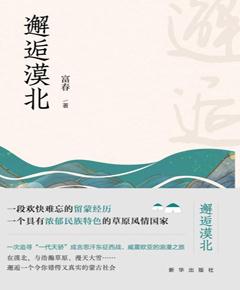 邂逅漠北