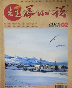 《短篇小说》