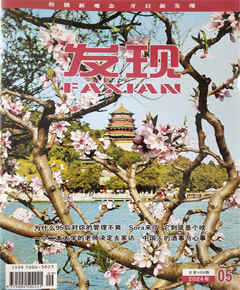 《发现》