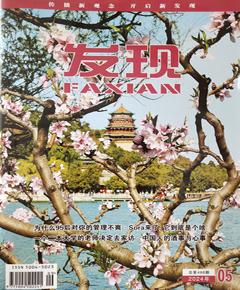 《发现》