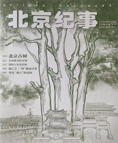 《北京纪事》