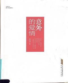 《意外的爱情》