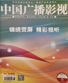 《中国广播影视》