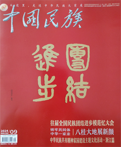 《中国民族