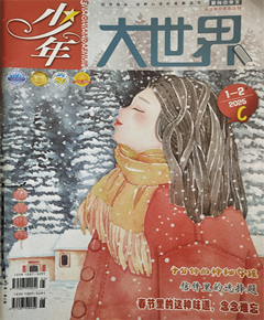 《少年大世界