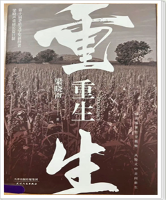 《重生》