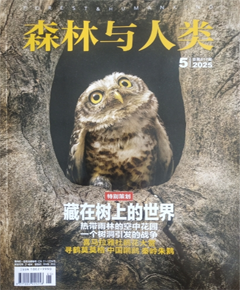 《森林与人类》