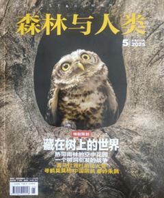 《森林与人类》
