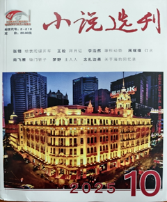 《小说选刊》